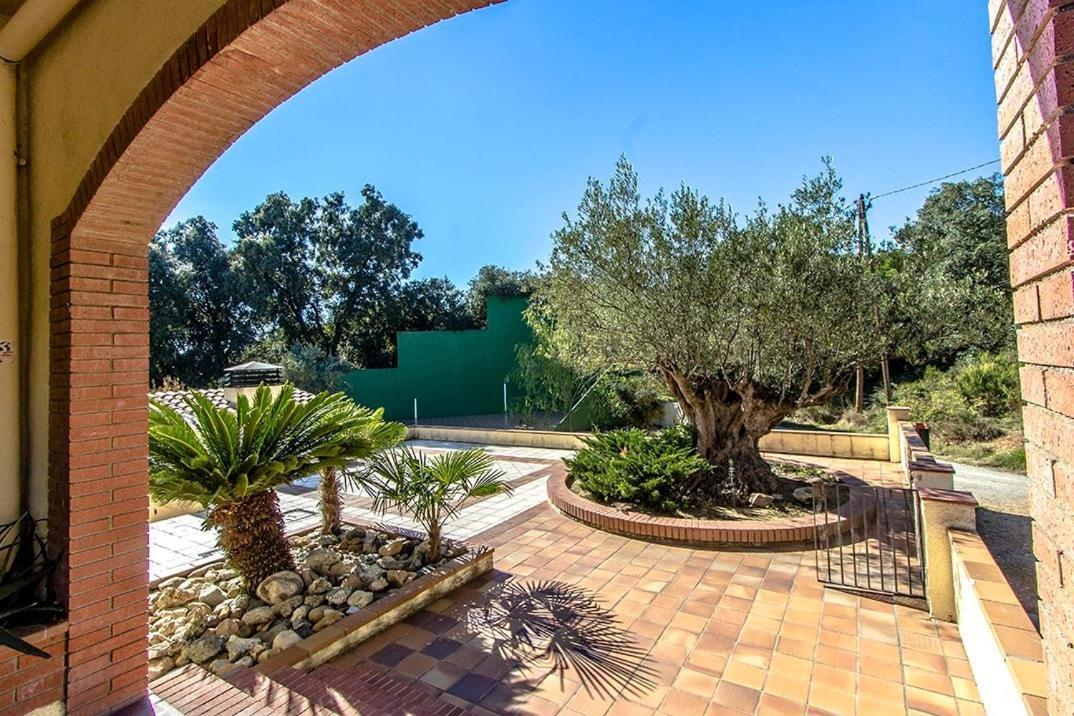 Catalunya Casas Nature And Tranquility For 24 Pax - 30Km To Beach Sant Pere de Vilamajor エクステリア 写真